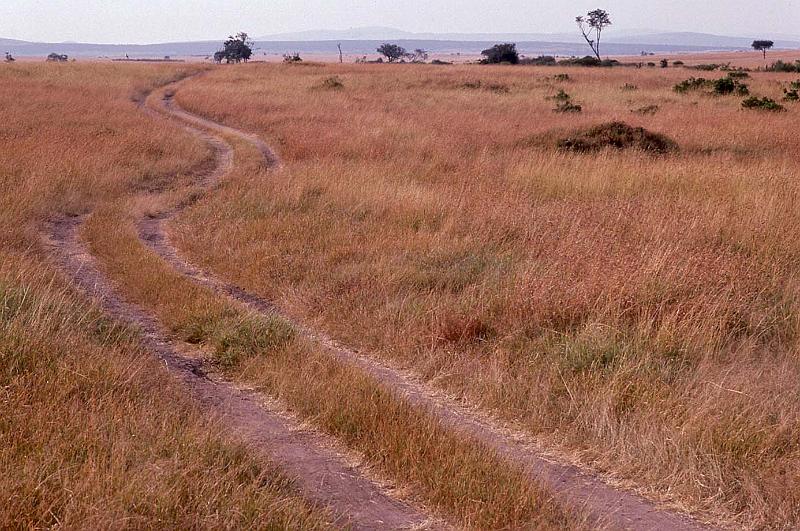 WT 1400 199-37 Kenya.jpg